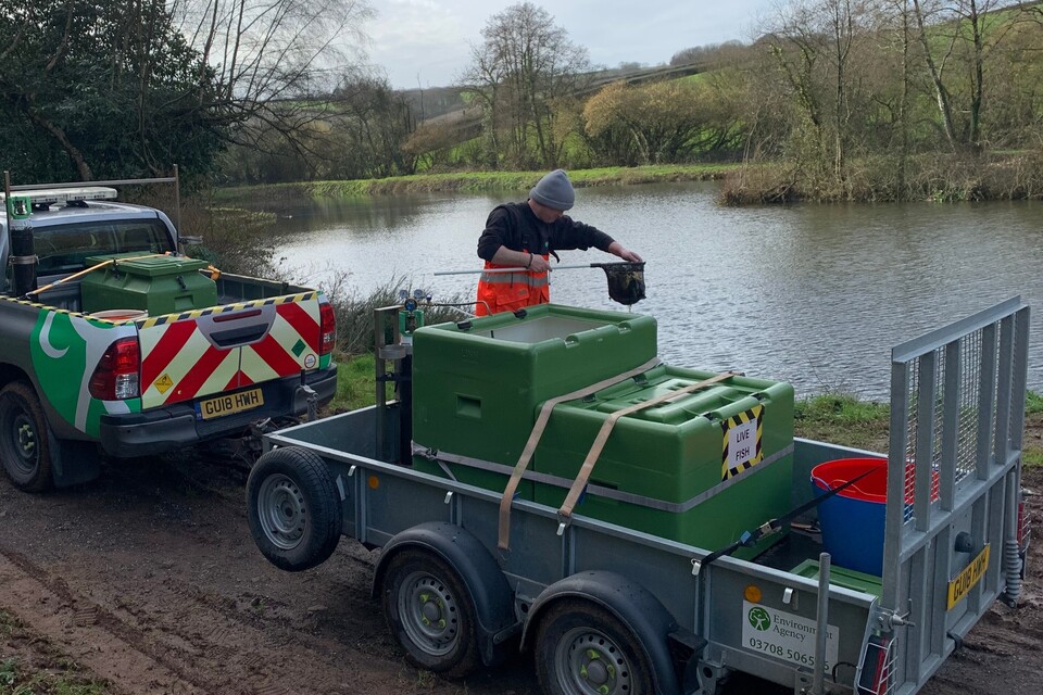Peixe retorna às lagoas de Cullompton graças ao dinheiro da licença de haste