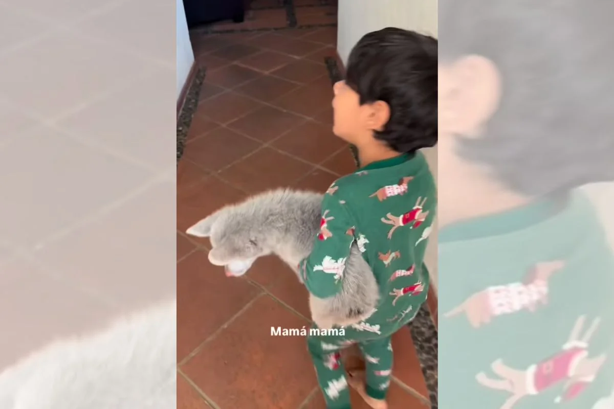 Cachorro albino e surdo