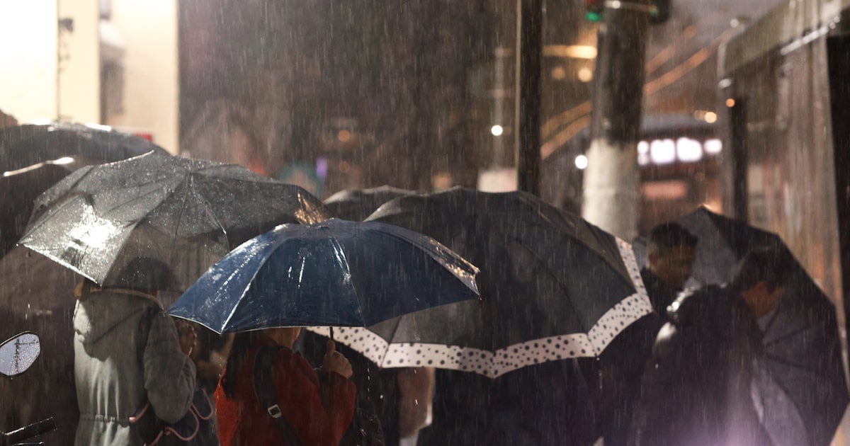 SP amanhece com chuva e pode ter temporais nesta quarta-feira; veja a previsão