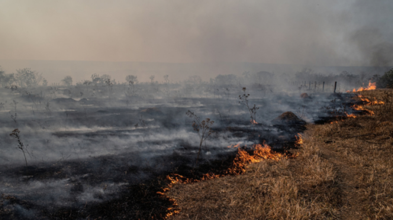 Planos dos candidatos para o meio ambiente focam no combate ao desmatamento e 'mostram consenso discursivo amplo', analisam especialistas