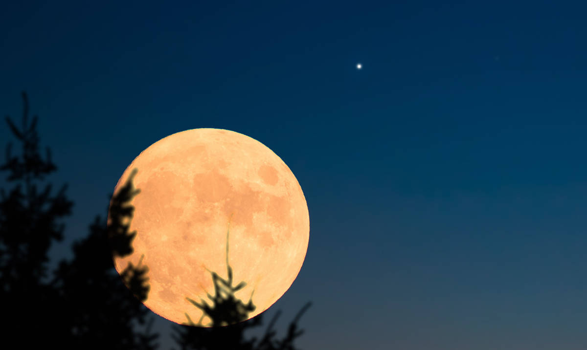Lua hoje: confira a fase da Lua deste sábado 26/09/2026