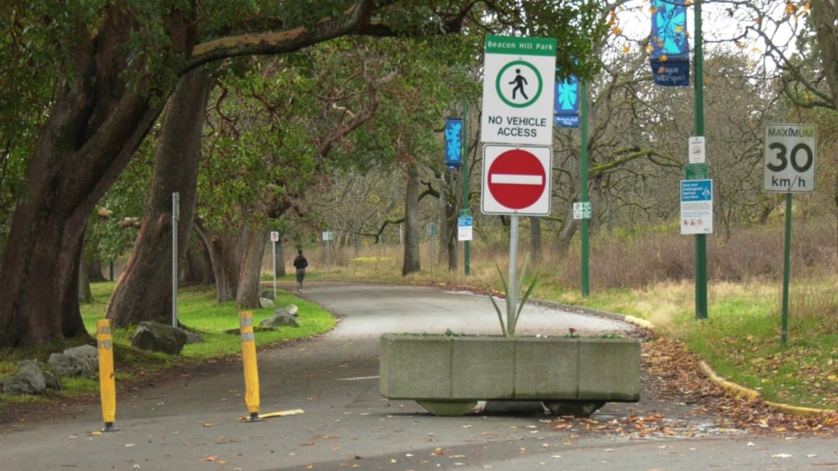 Victoria police seek suspect in Beacon Hill Park assault