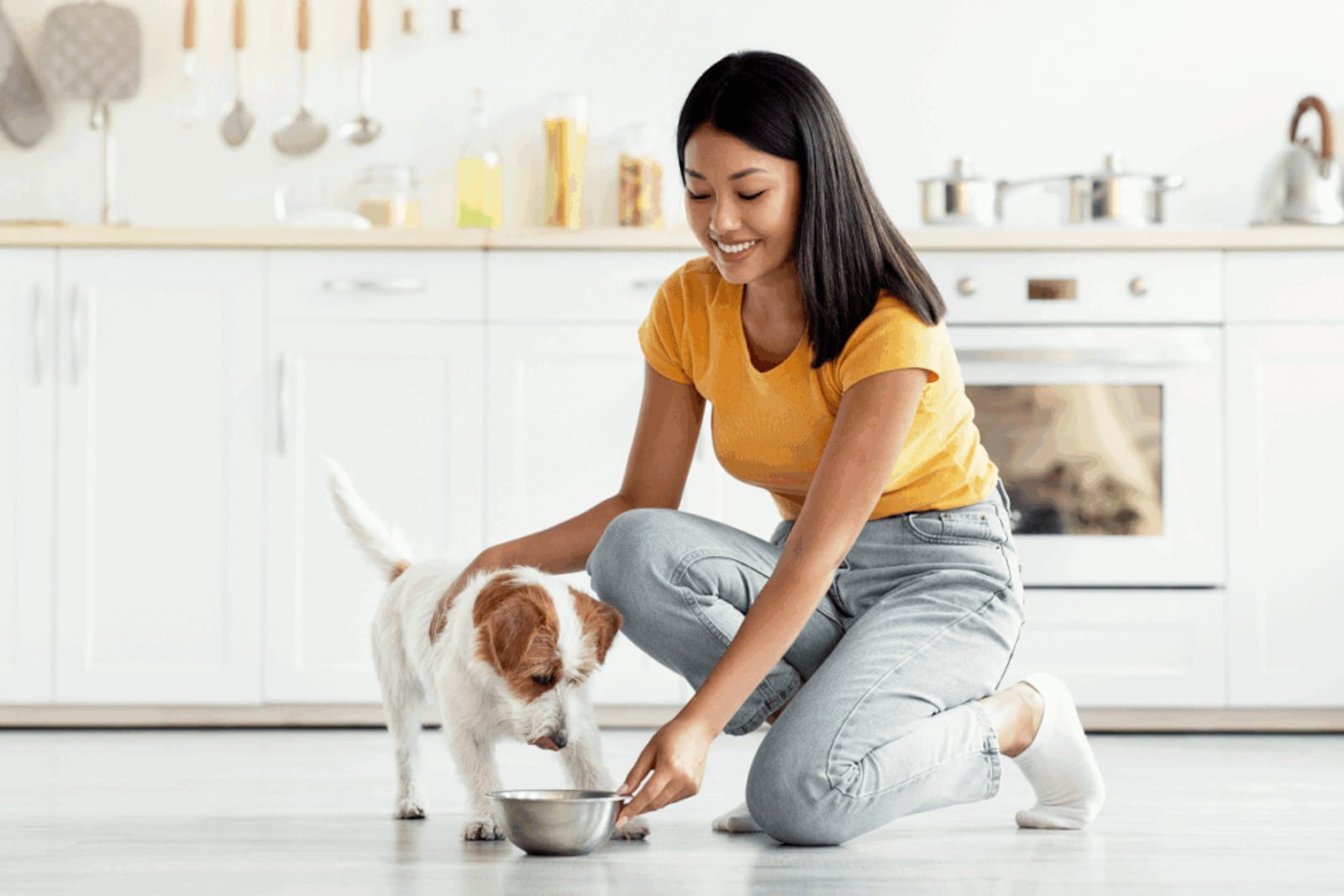 Diagnóstico precoce e alimentação adequada podem contribuir para a qualidade de vida e o bem-estar do cão Imagem: Prostock-studio | Shutterstock
