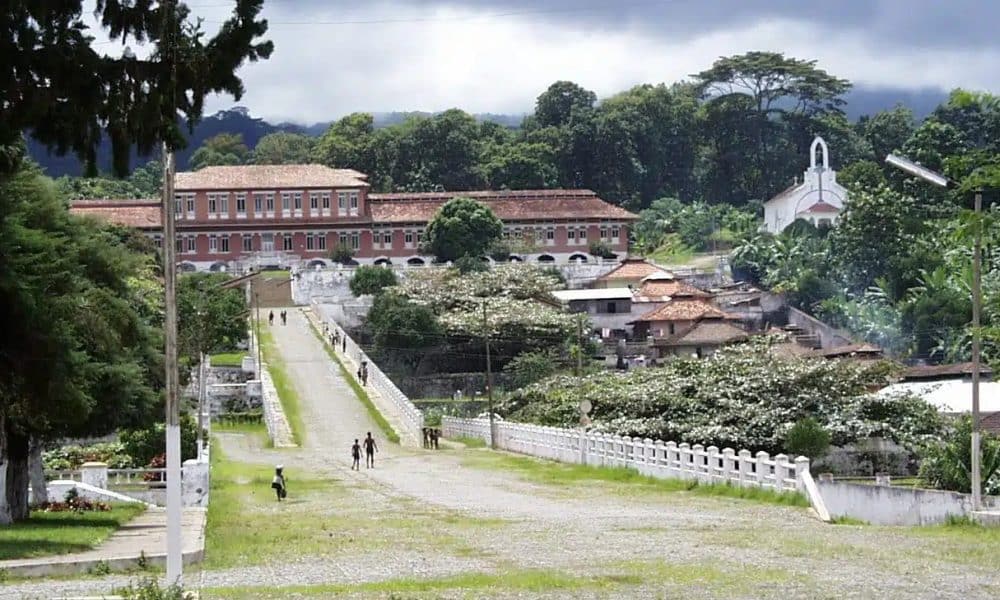 51 anos sobre a nacionalização das roças