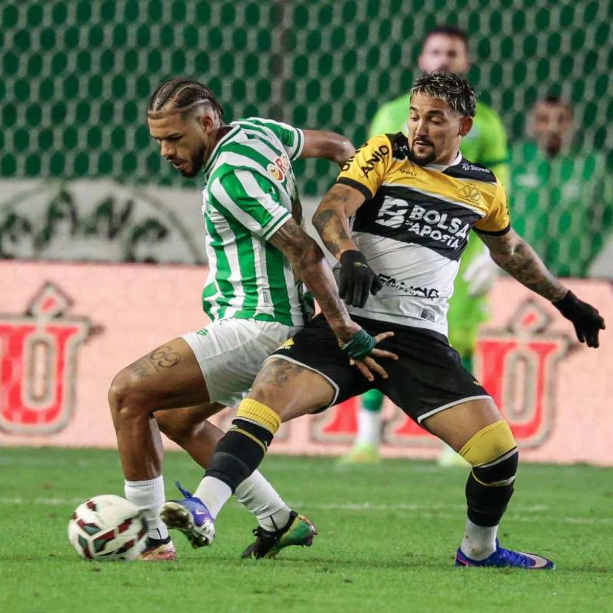Criciúma e Juventude brigam pela liderança da Série B; veja odds