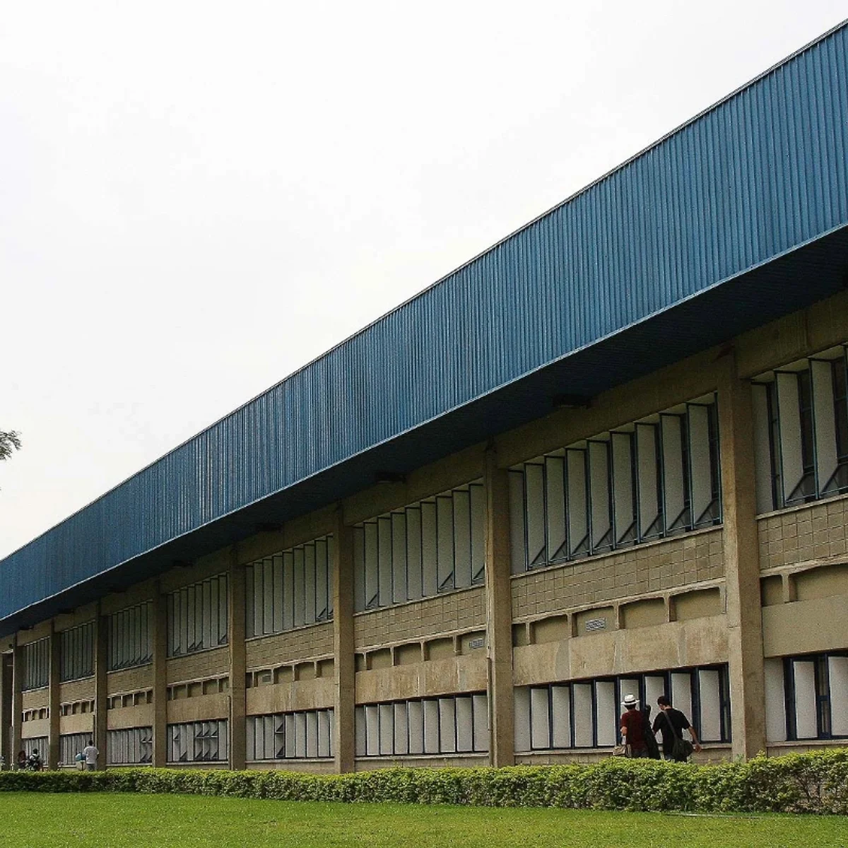 USP é obrigada a rematricular aluno cotista que foi considerado branco