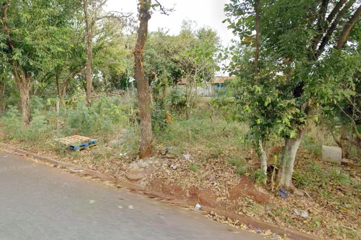 Mulher morre após ser encontrada gravemente ferida em mata no interior de SP - Metrópoles