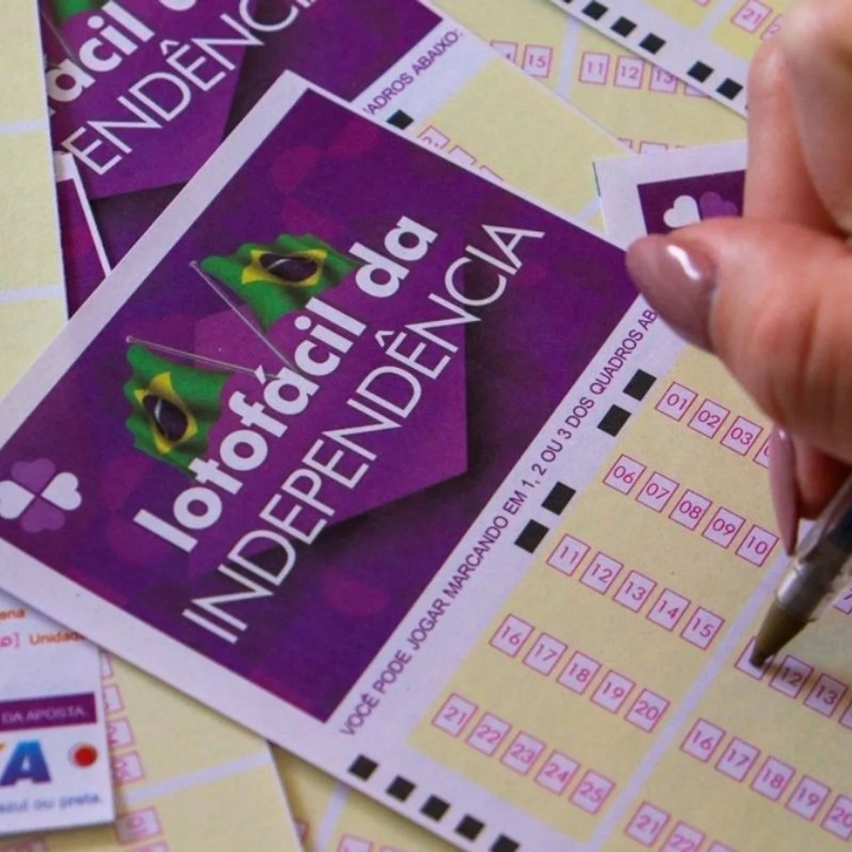 Lotofácil da Independência: apostas em 18 estados dividirão R$ 300 milhões