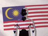 GIF 0.8MB Flag Header