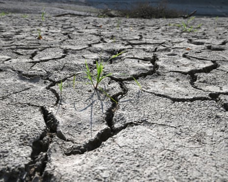 A dried up reservoir bed in Miryang, South Korea.
