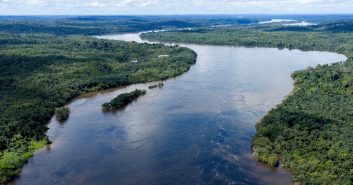 Combate às queimadas e pagamento por serviços: quais as propostas dos candidatos a presidente para o meio ambiente