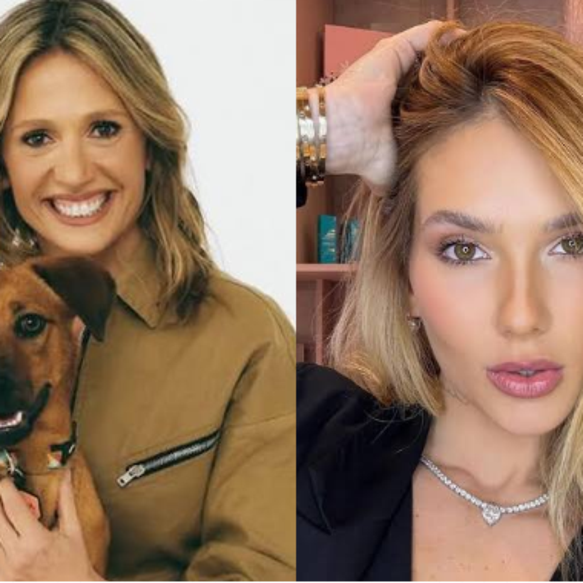 Luisa Mell se indigna com valor arrecadado por Virginia em live e compara com situação de animais: 'O que está acontecendo?'