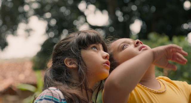 Conheça os 6 filmes finalistas na corrida para representar o Brasil no Oscar 2027; veja como assistir