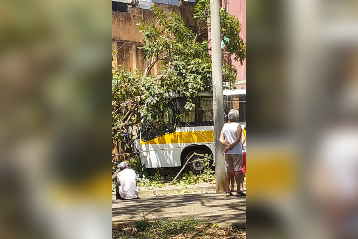 acidente ônibus escolar BH