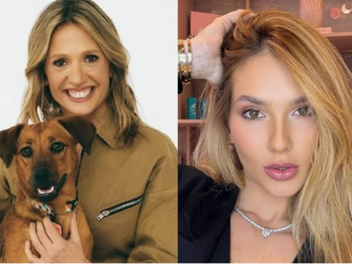 Luisa Mell se indigna com valor arrecadado por Virginia em live e compara com situação de animais: 'O que está acontecendo?'