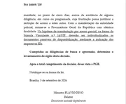 Decisão do ministro Flávio Dino sobre o caso Dark Horse