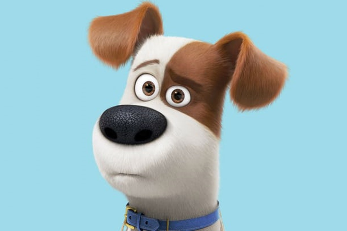 "Doguinhos" icônicos: relembre os cachorros mais famosos da TV e do cinema