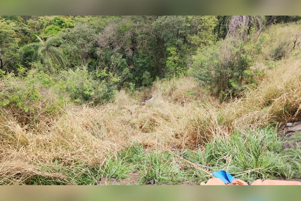 MG: caminhonete capota e cai em ribanceira de 60 metros na BR-381