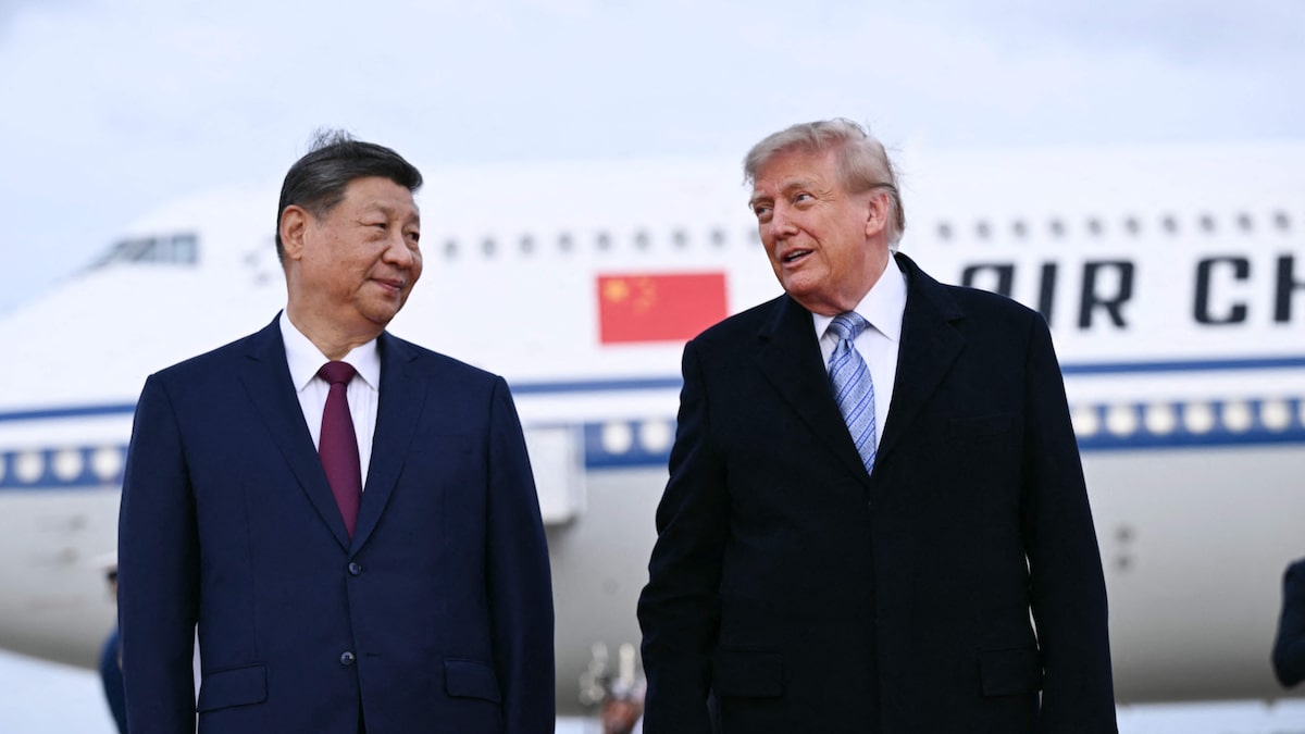 Diplomacia animal: China enviará casal de pandas a zoológico dos EUA, anuncia Xi Jinping