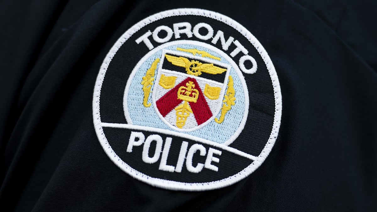 Suspect at-large after female sexually assaulted at Scarborough park