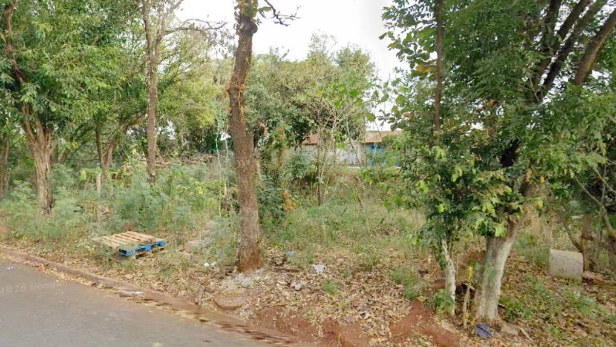 Mulher encontrada gravemente ferida em mata morre no interior de SP
