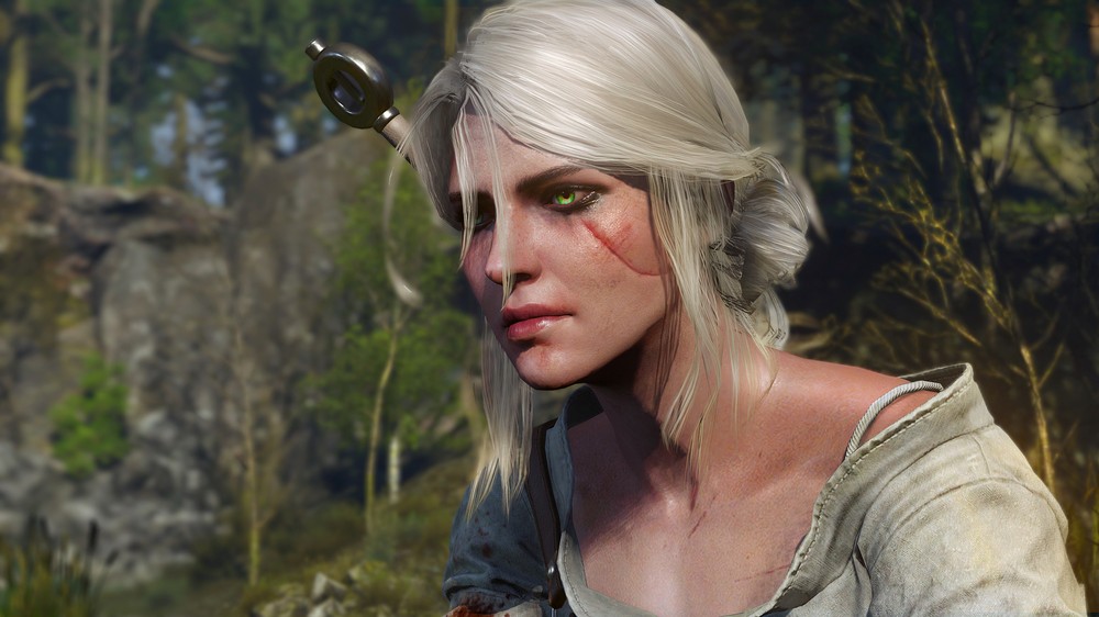The Witcher 3: Wild Hunt - Remastered: confira novidades da atualização — Foto: Divulgação/CD Projekt Red