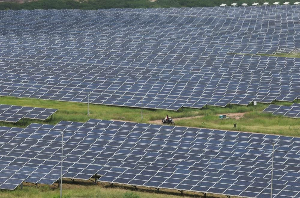 A man rides a motorcycle along the solar panels in Gujarat Solar Park also called Charanka Solar Park at Patan district in Gujarat, India September 12, 2024. (Reuters)