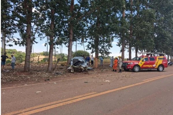 Mulher de 26 anos morre e bebê fica ferida após carro bater em árvore - destaque galeria