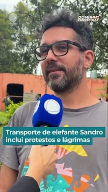 Filhote de elefante se reencontra com a mãe após ser salvo por pescadores em rio; veja vídeo