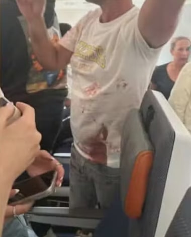 Piloto esfaqueado: o que se sabe sobre suposta tentativa de ataque terrorista em voo para Israel