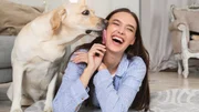 Petiscos para cães: veterinária explica quais opções oferecer e quando dar