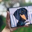 Imagem da matéria: Galaxy S27 Ultra: vazamento de capinhas confirma design 'estilo iPhone'