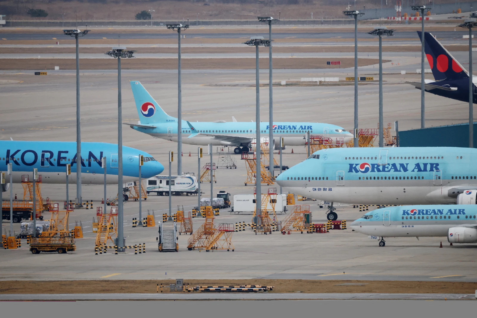 O Campeonato de Jiu-Jitsu Khaled bin Mohamed bin Zayed entra na fase decisiva com a rodada 7
