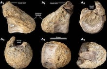 Cientistas recriam os pergaminhos de Herculano e encontram pista para decodificar texto oculto