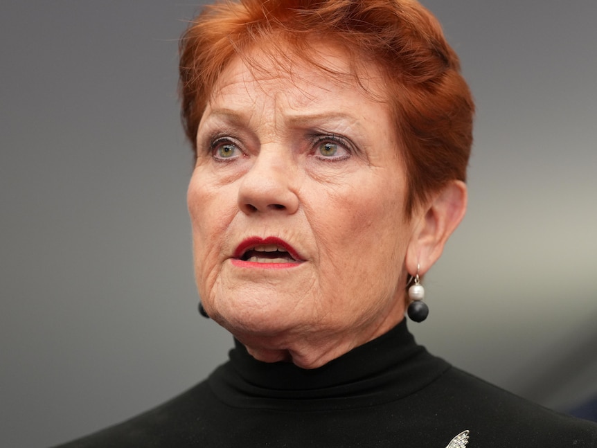 Pauline Hanson wearing a black turtleneck speaking at a press conference.