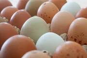3 truques simples para cozinhar e descascar ovos sem dificuldade