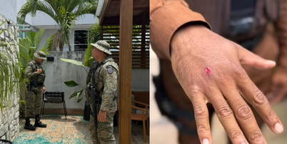 Macaco-prego invade casas na Bahia, ingere álcool e deixa feridos antes de ser capturado pela Polícia Foto: Divulgação/PMBA/COPPA
