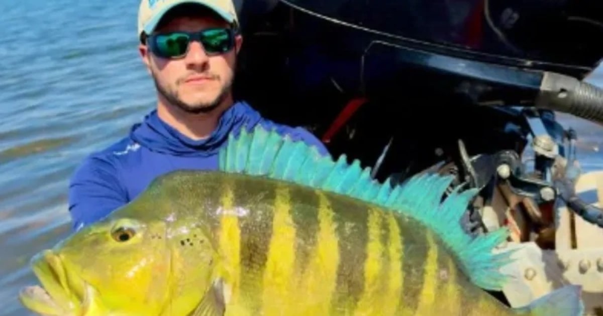 Pescador captura tucunaré-azul de 68 cm em MG e bate recorde brasileiro