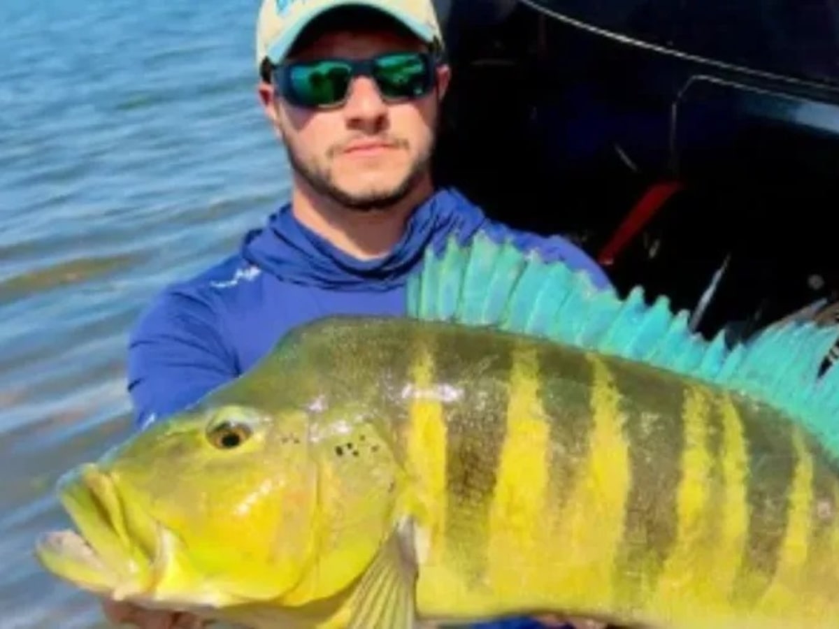 Pescador captura tucunaré-azul de 68 cm em MG e bate recorde brasileiro