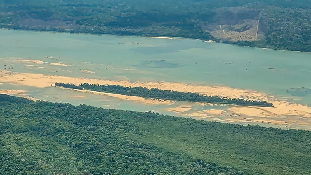 Criança de 8 anos é atacada por onça na Terra Indígena no Pará