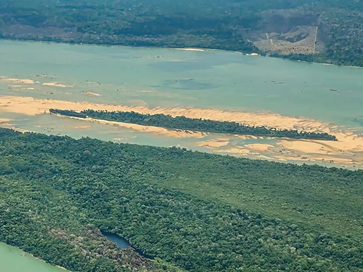 Criança de 8 anos é atacada por onça na Terra Indígena no Pará