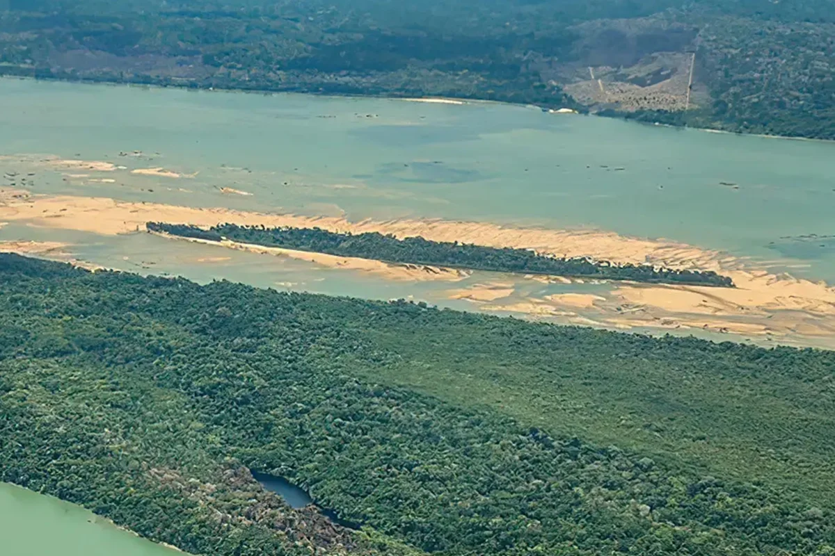 Criança de 8 anos é atacada por onça na Terra Indígena no Pará