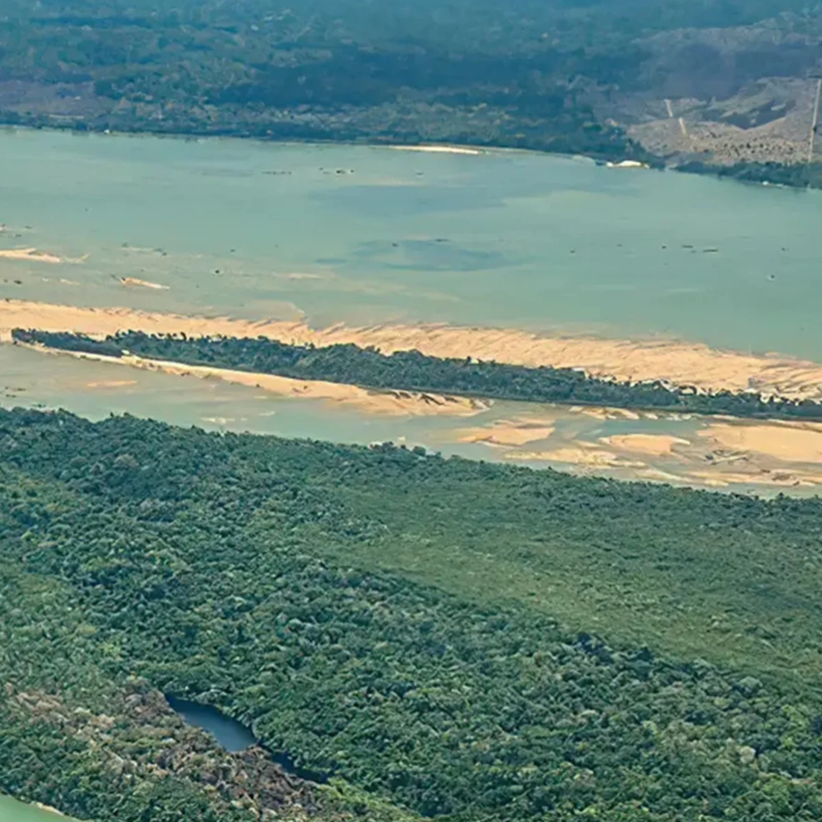Criança de 8 anos é atacada por onça na Terra Indígena no Pará