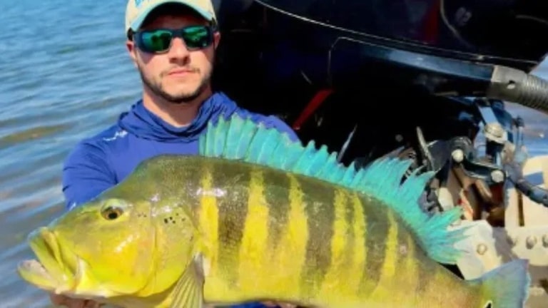 Pescador captura tucunaré-azul de 68 cm em MG e bate recorde brasileiro